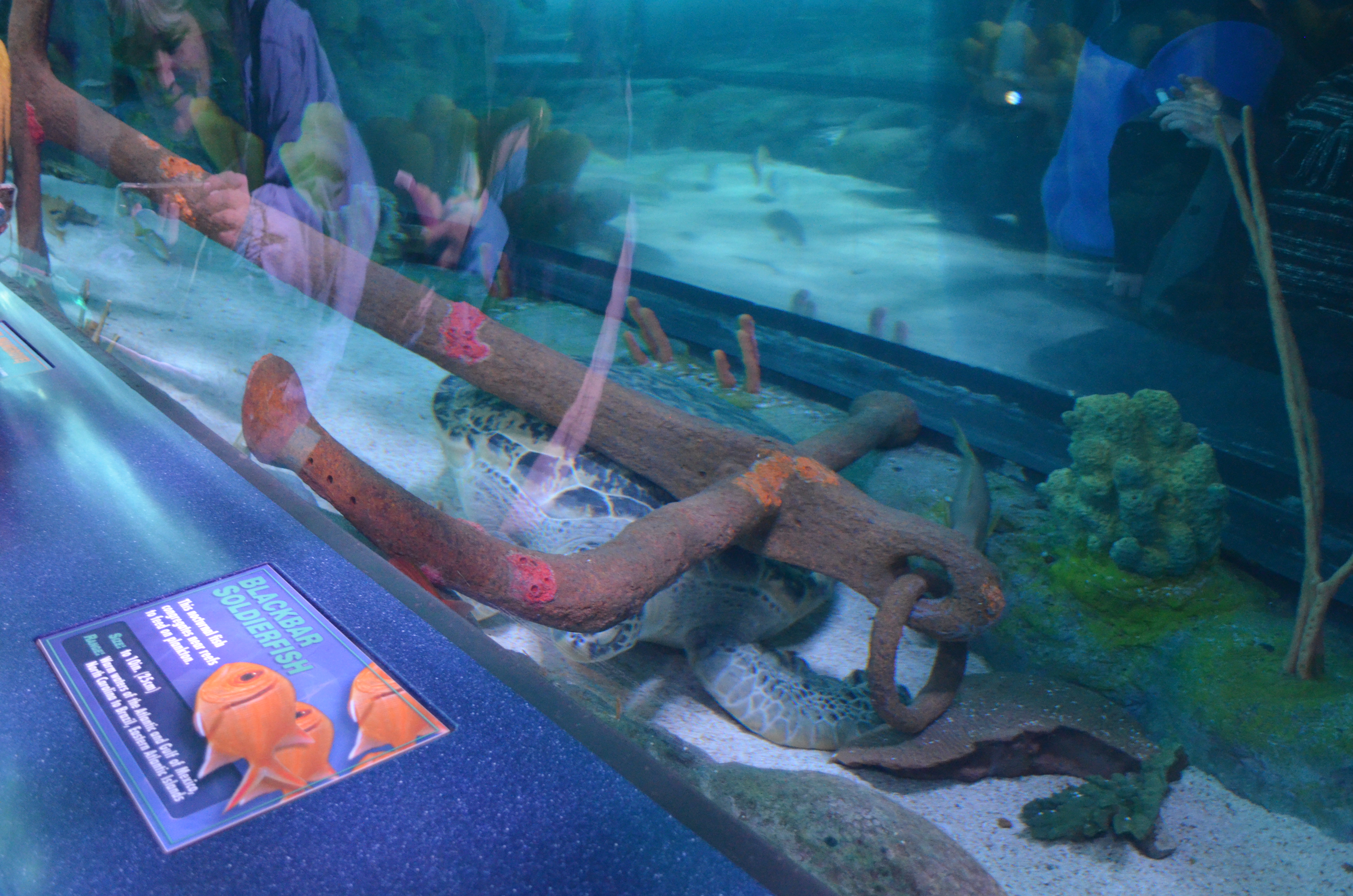 ./2017/21 - Myrtle Beach/ADSC_0962.JPG